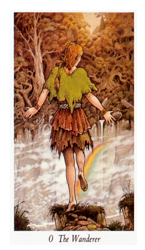The Wildwood Tarot [Cards]